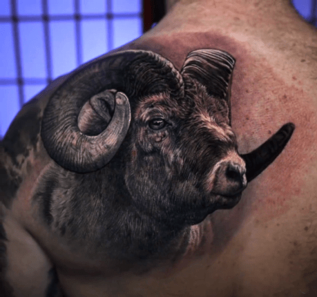 Long Horned Ram