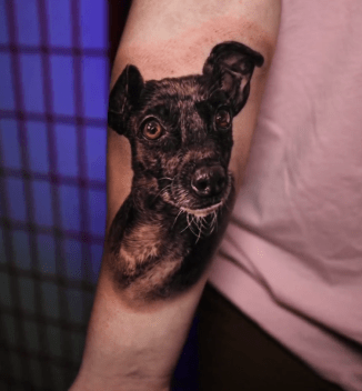 Pet Portrait