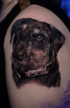 Memorial Pet Portrait