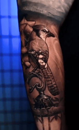 Realism Blue Jay with Roses and Lantern