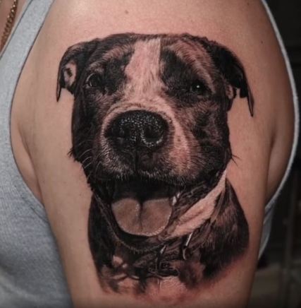 Bully Breed Tattoo, Pitbull Tattoo, Dog Portrait Tattoo, Cesar Perez, Black and Grey Realism