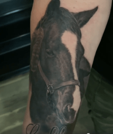 Horse Portrait