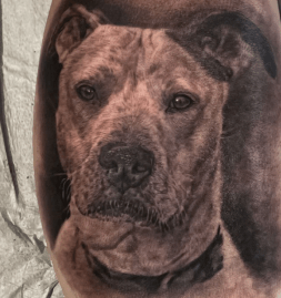 Pet Portrait