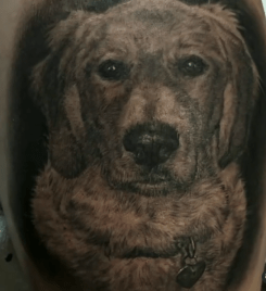 Pet Portrait