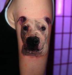 Bully Breed Tattoo, Pitbull Tattoo, Dog Portrait Tattoo, Cesar Perez, Black and Grey Realism, Color Realism