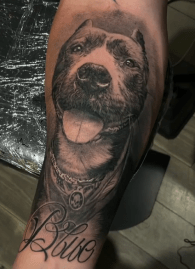 Bully Breed Pet Portrait