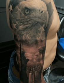 Bald Eagle Portrait