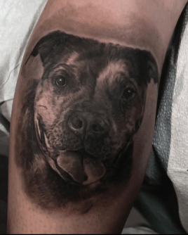 Bully Breed Pet Portrait