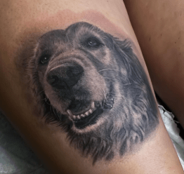 Pet Portrait