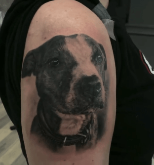 Pet Portrait