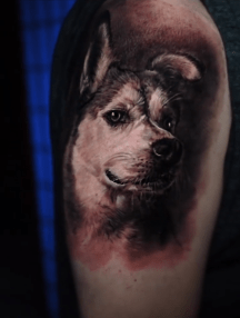 Memorial Dog Portrait