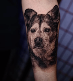 Memorial Dog Portrait