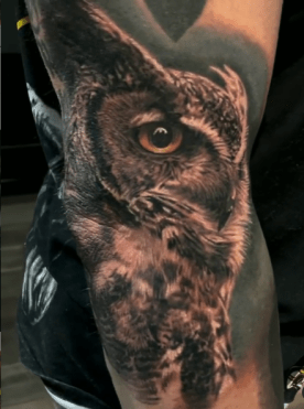 Owl Portrait