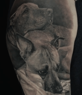 Double Dog Pet Portrait