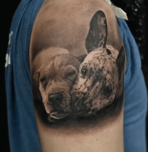 Two Young Puppies Portrait