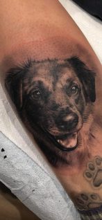 Black And Grey Dog Portrait Tattoo