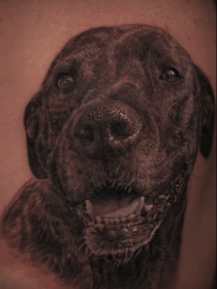 Cesar black and grey pet portait lab