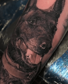 Cesar black and grey pet portrait shep