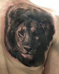Black And Grey Lion Portrait Tattoo