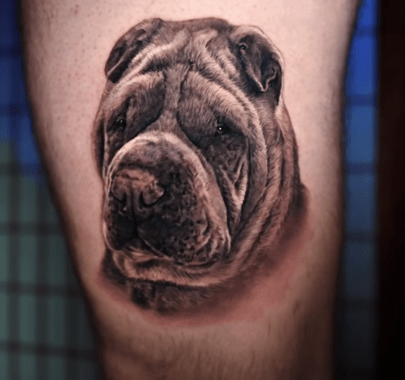 Sharpei_thor