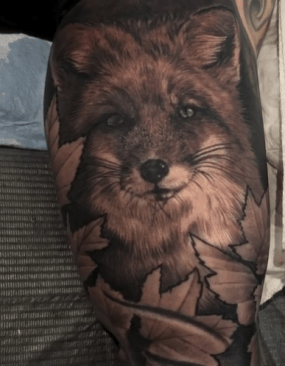 Fox Portrait