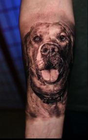 black and grey dog portrait