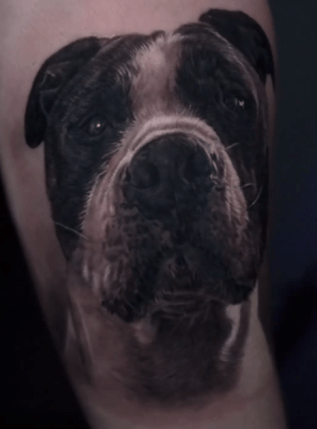 cesardoggyportrait1