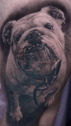 cesardoggyportrait2