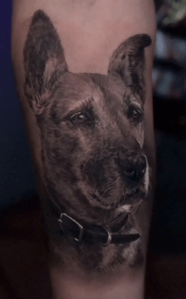 cesardoggyportrait3