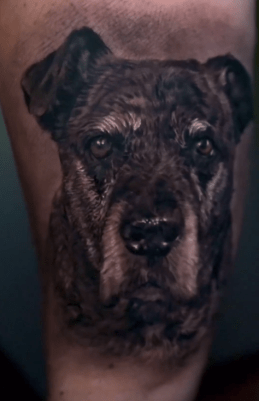 cesardoggyportrait4