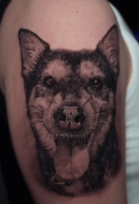 cesardoggyportrait5