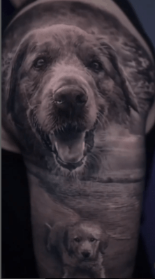 cesardoggyportrait6