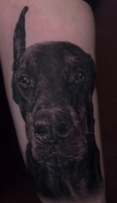 cesardoggyportrait7