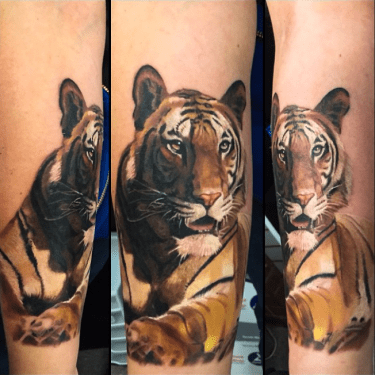 Color Tiger Portrait Tattoo