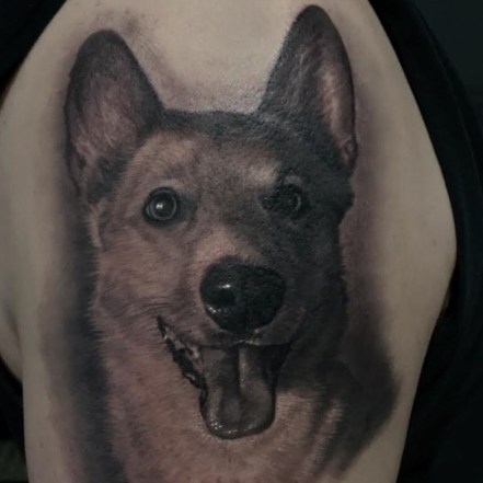 Bully breed Tattoo, Pitbull Tattoo, Dog Portrait, Dog Portrait Tattoo, Cesar Perez, Black and Grey Realism