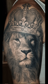 King Lion Portrait