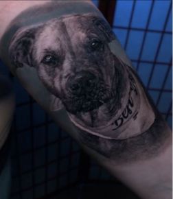 Realism Pet Portrait