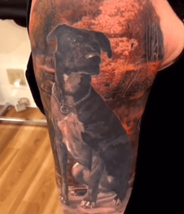 Color Dog Portrait with Fall Foliage Tattoo