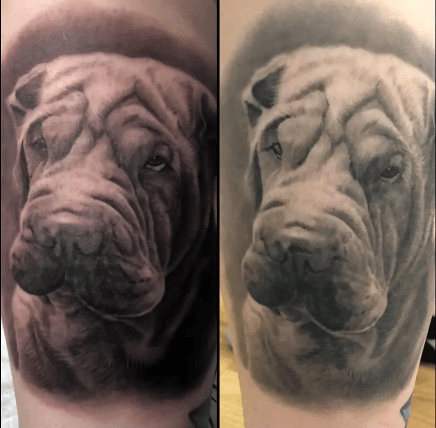 fresh_vs_healed_02