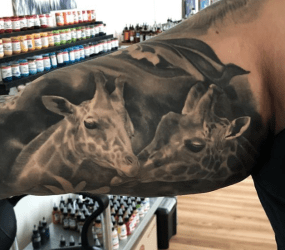 Black and Grey Giraffe Portraits