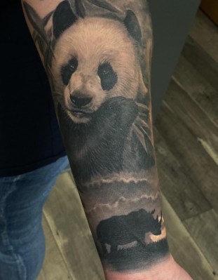 Panda & Rhinoceros Portrait