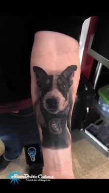 Dog Portrait, Dog Portrait Tattoo, Cesar Perez, Black and Grey Realism