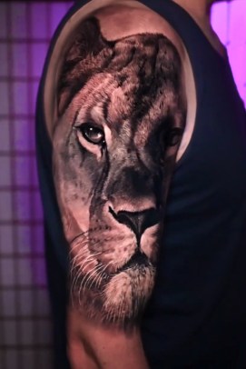 Lioness Black and Grey