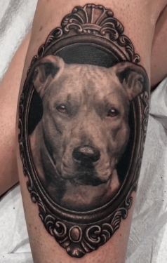 Black and Grey Framed Pitbull Portrait Tattoo