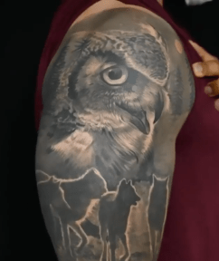 Owl & Wolves Portrait