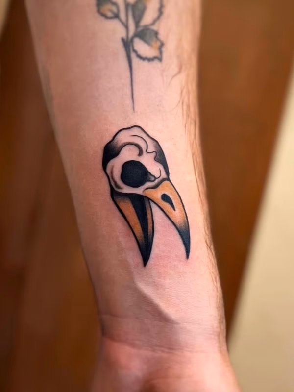 Raven skull