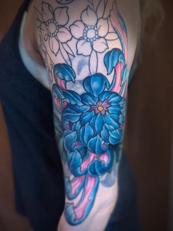 Cover-Up