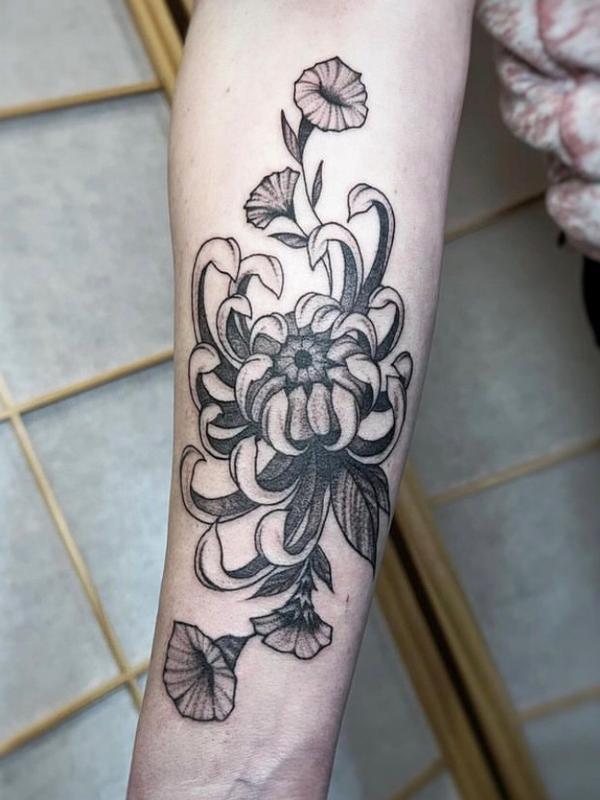 Chrysanthemum