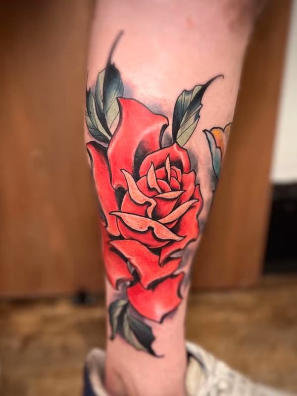 Rose