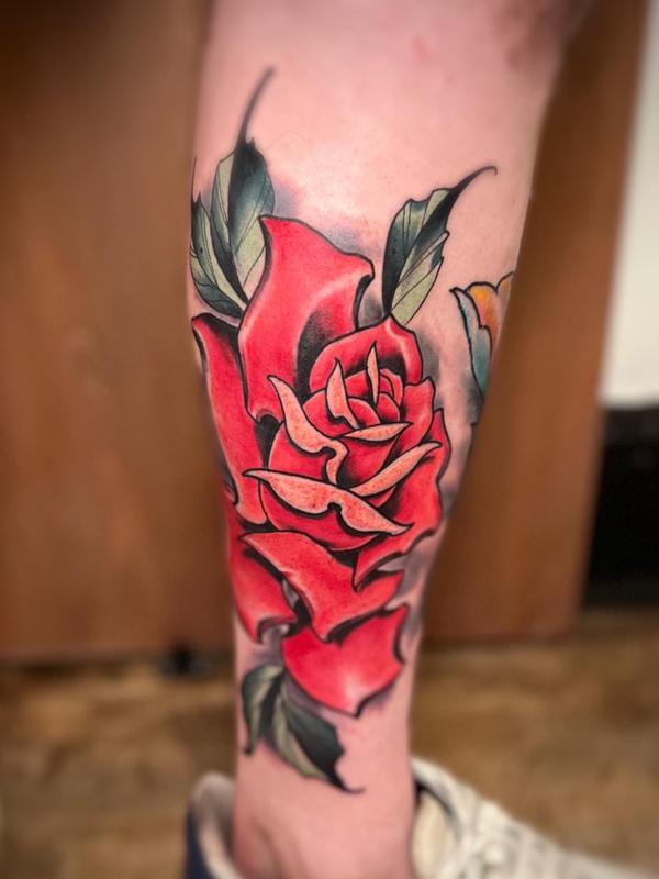 Rose